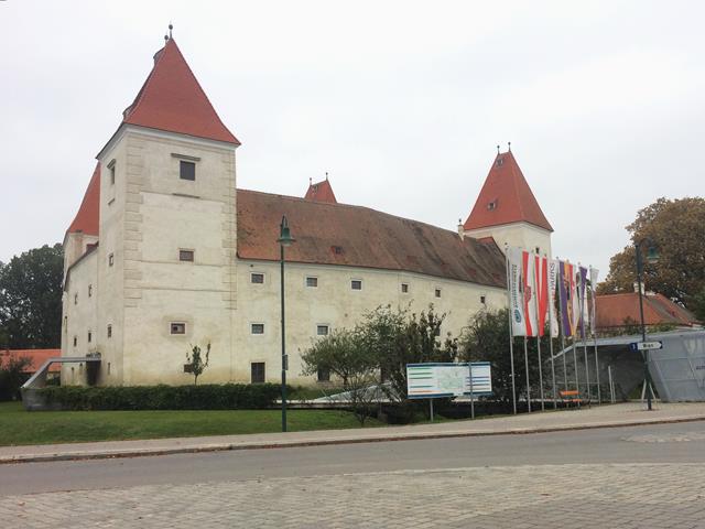 IMG 3979.1