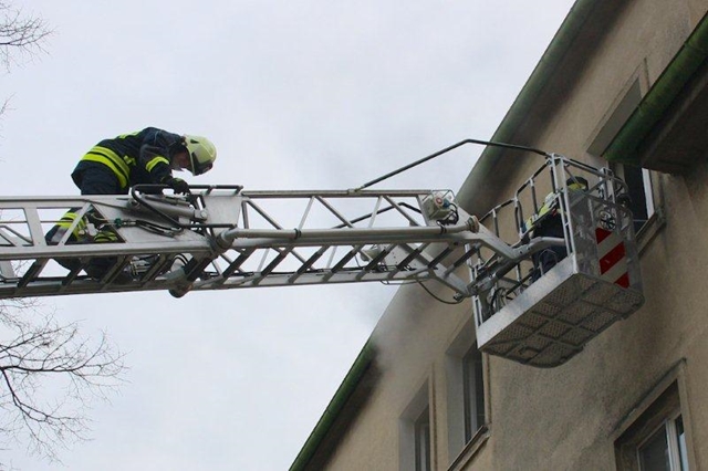 Brand 7