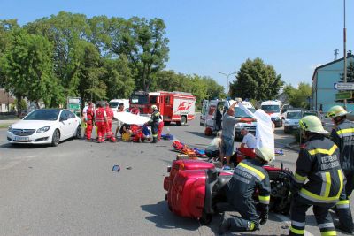 bild15